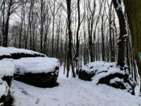 kornyezet13