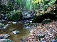 kornyezet26