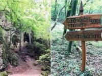 kornyezet7