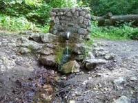 kornyezet8