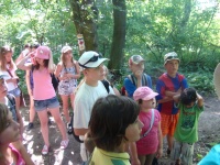 dsc04440