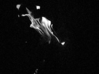 dsc04618