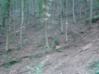dsc04677