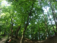 dsc04930