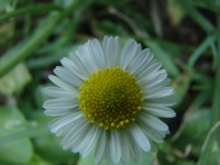 dsc05159
